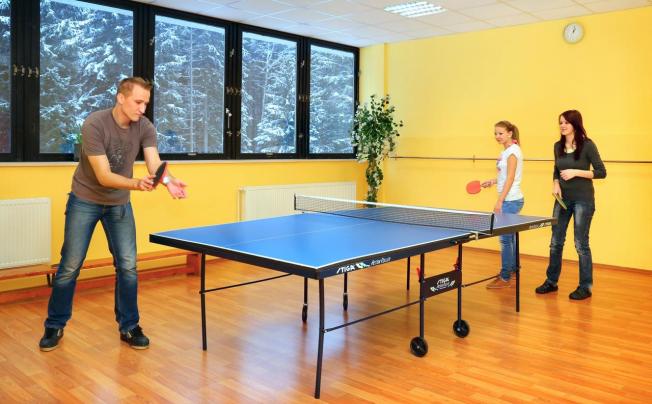 Фото отеля Svornost Wellness Hotel