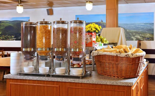 Фото отеля Svornost Wellness Hotel