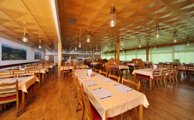 Фото отеля Svornost Wellness Hotel