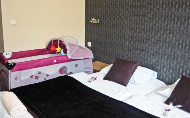Фото отеля Pankrac Hotel