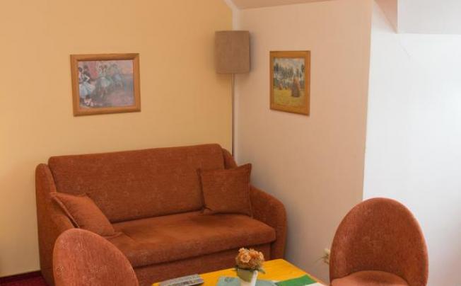 Фото отеля Wellness Pension 7