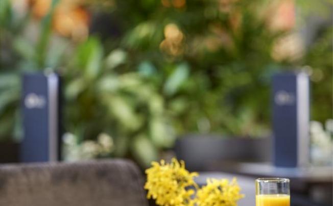 Фото отеля Olsanka Hotel Congress & Wellness
