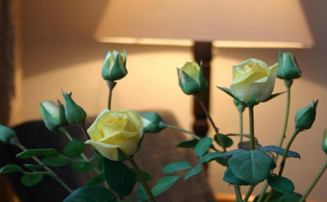 Фото отеля jasmin hotel prague