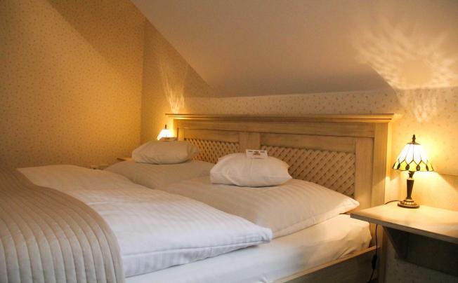 Фото отеля Maxant Hotel