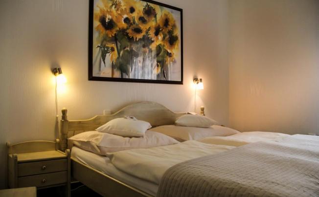 Фото отеля Maxant Hotel