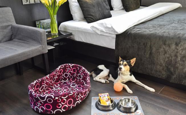 Фото отеля Ametyst Hotel Prague