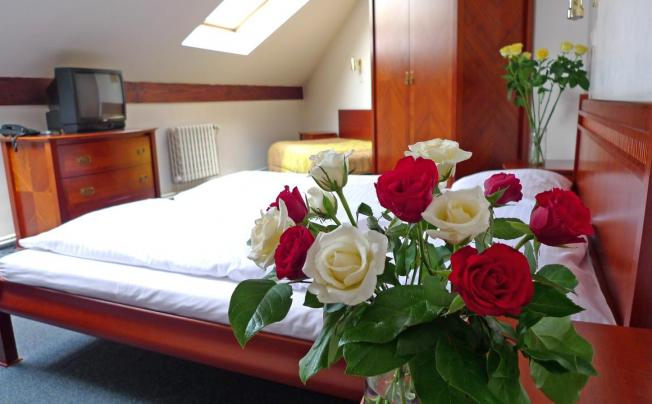 Фото отеля Balbin Pension