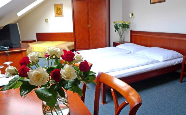 Фото отеля Balbin Pension