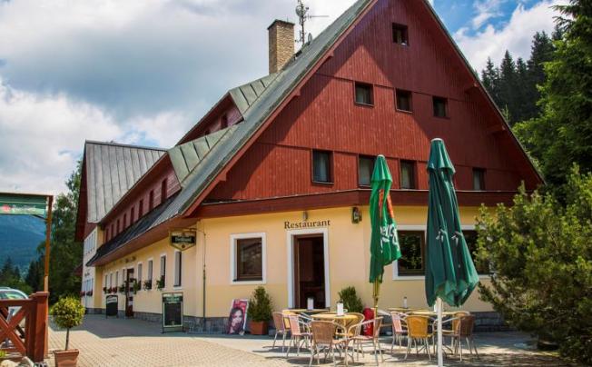 Фото отеля Alpina hotel