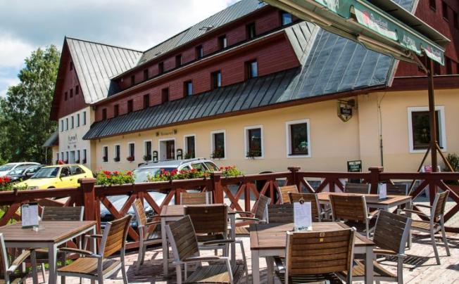 Фото отеля Alpina hotel