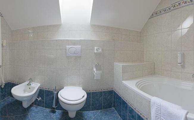 Фото отеля Tyl Hotel Prague