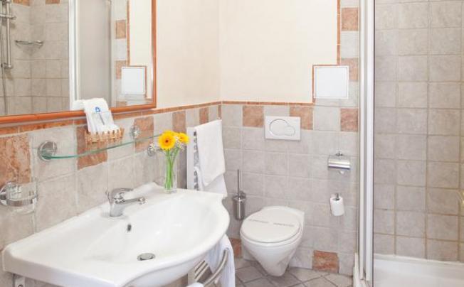 Фото отеля Tivoli Prague Hotel