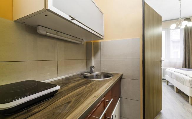 Фото отеля REZIDENCE DAVIDS