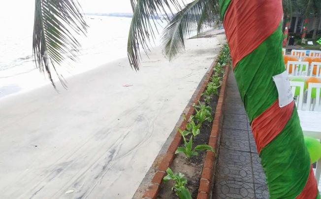 Фото отеля MuiNe Paradise Beach Resort