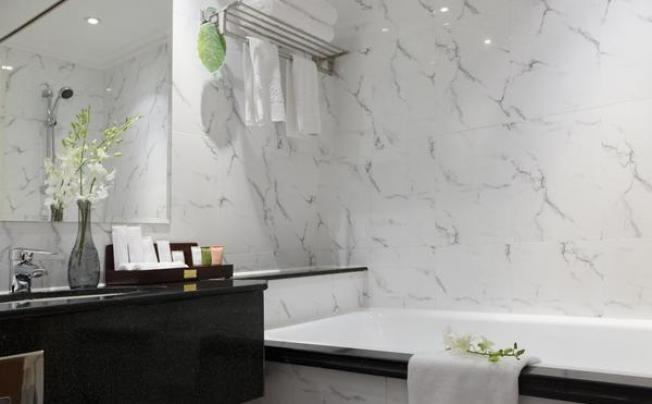 Фото отеля Windsor Plaza hotel