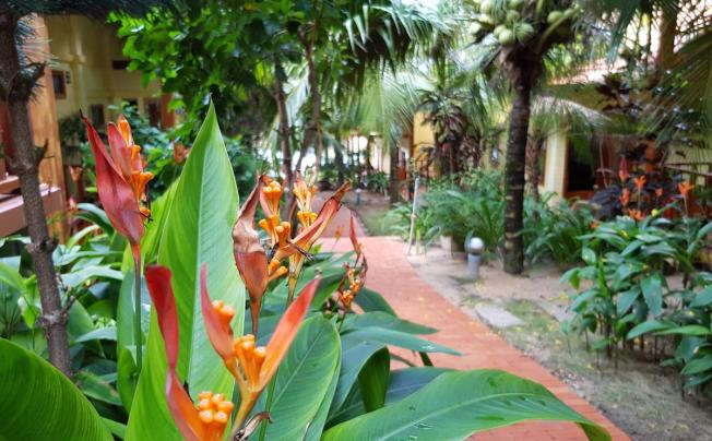 Фото отеля FREE BEACH RESORT