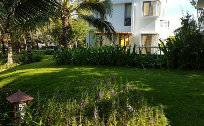 Фото отеля Sonata Resort & Spa