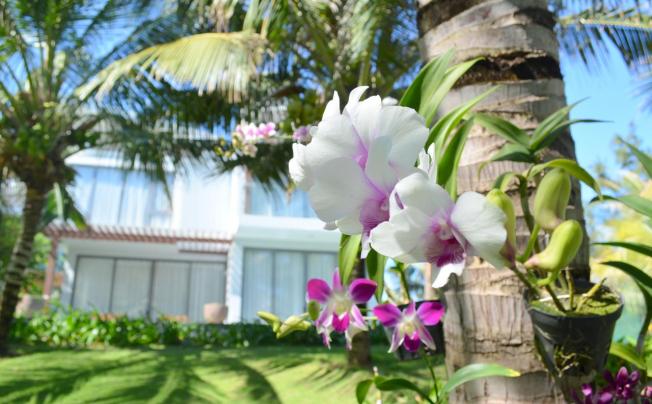 Фото отеля Sonata Resort & Spa