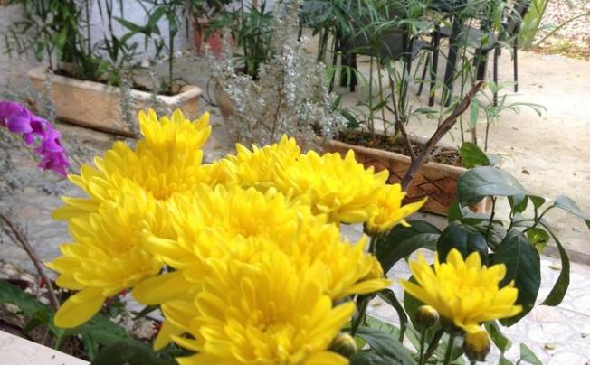 Фото отеля Levy Neve Tzedek - Boutique Lodging
