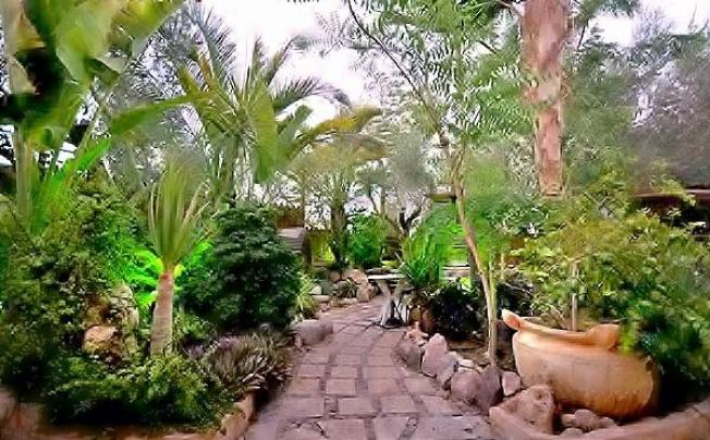 Фото отеля THAI VILLA EILAT
