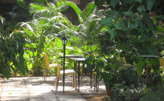 Фото отеля Sea Breeze Beach resort