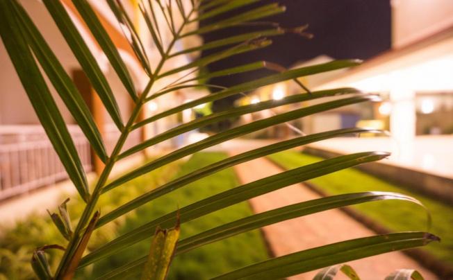 Фото отеля Passions De Goa