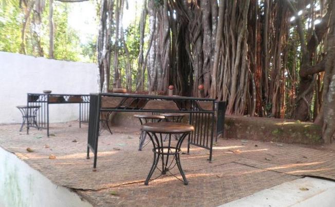 Фото отеля The Banyan Soul