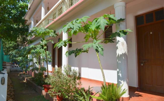 Фото отеля Pebbles Guesthouse