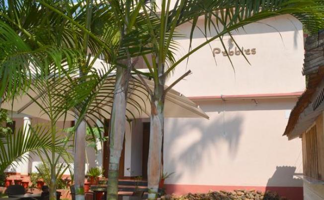 Фото отеля Pebbles Guesthouse