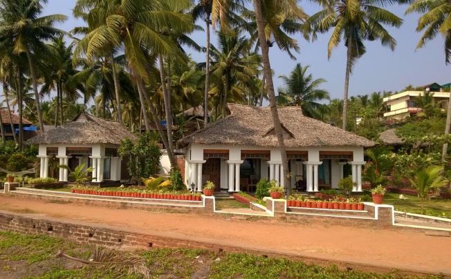 Фото отеля PALM TREE BUNGALOW