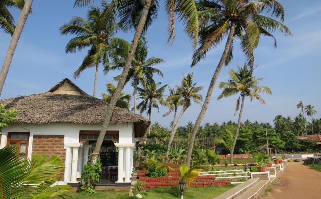 Фото отеля PALM TREE BUNGALOW