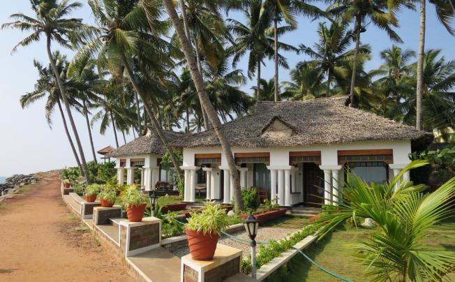 Фото отеля PALM TREE BUNGALOW