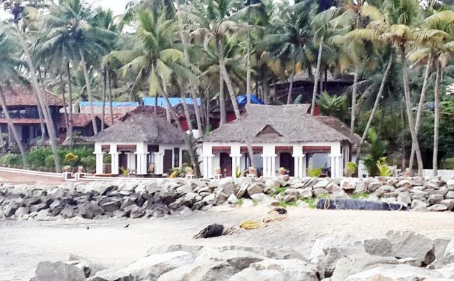 Фото отеля PALM TREE BUNGALOW