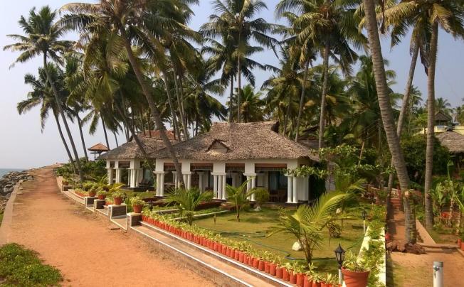 Фото отеля PALM TREE BUNGALOW