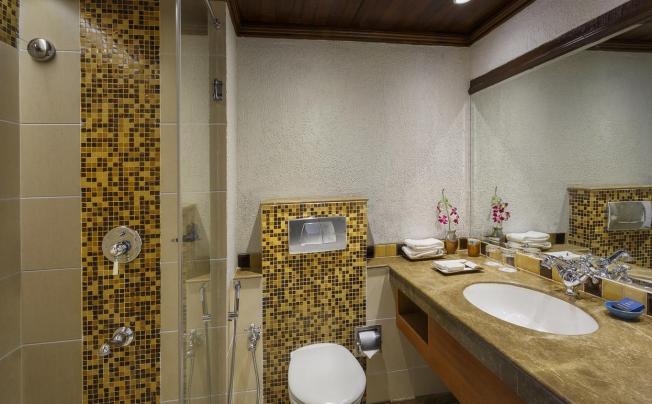 Фото отеля Lazy Lagoon Sarovar Portico Suites