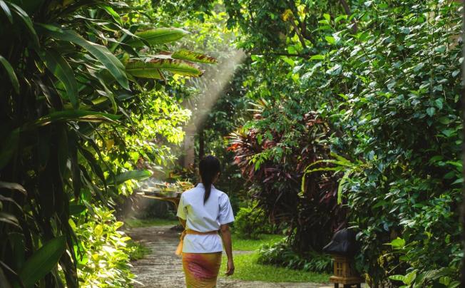 Фото отеля Sri Phala Resort & villa