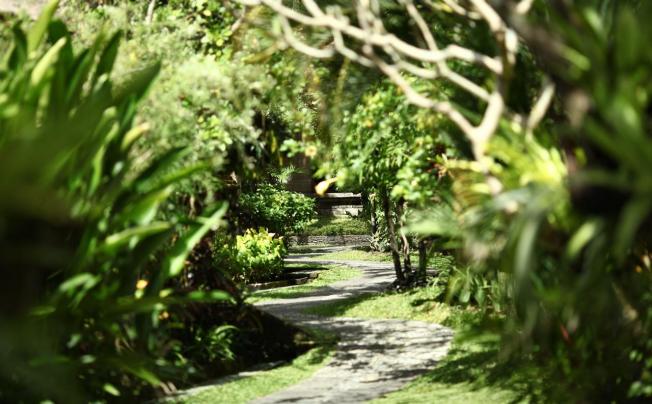 Фото отеля Bali Agung Village