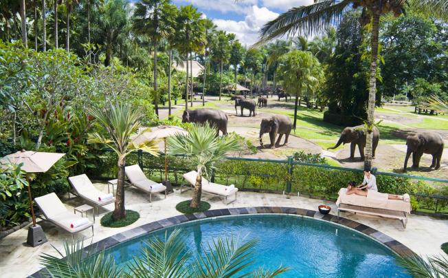 Фото отеля Mason Elephant Lodge (ex. Elephant Safari Park Lodge Bali Ubud)