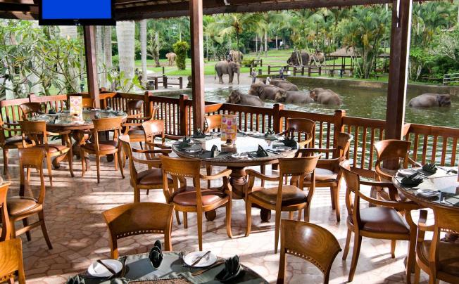 Фото отеля Mason Elephant Lodge