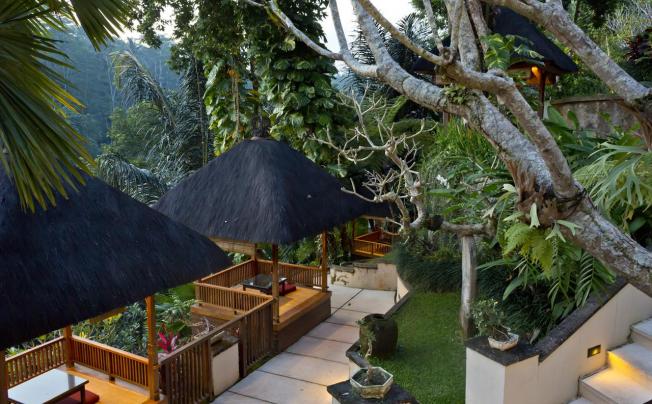 Фото отеля Alam Ubud Culture Villas & Residences