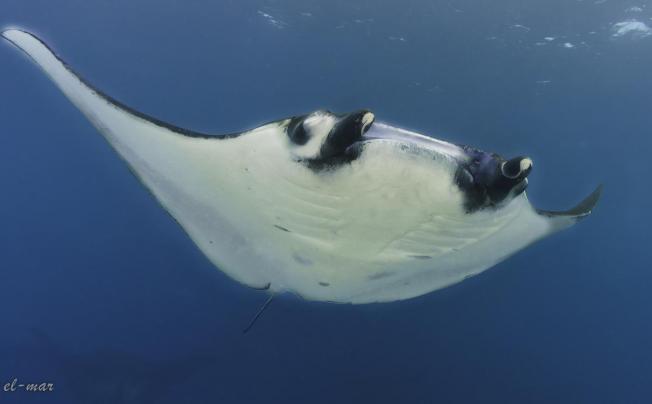 Фото отеля Kubu Indah Dive & Spa Resort