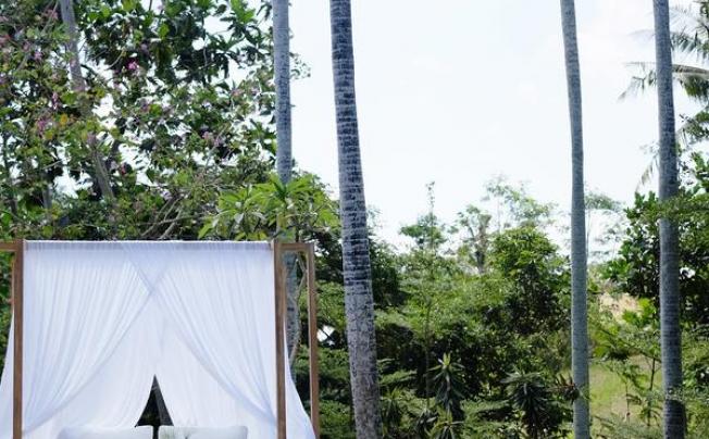 Фото отеля Planta Luxury Boutique Resort