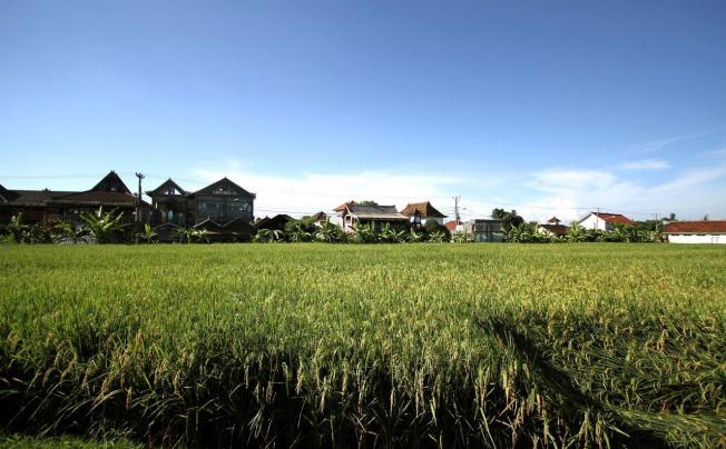 Фото отеля FRII BALI ECHO BEACH