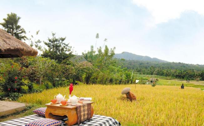 Фото отеля Puri Bagus Manggis resort