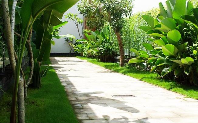 Фото отеля Amor Bali Villas & Spa Resort