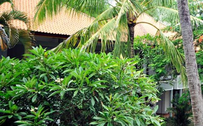 Фото отеля Puri Saron Hotel Seminyak