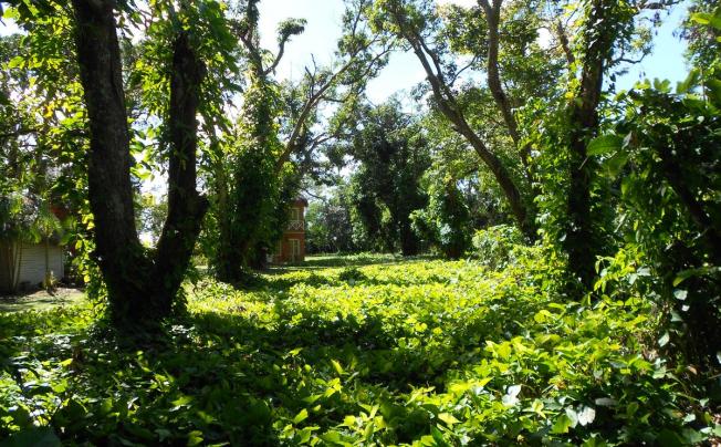 Фото отеля VILLA CUBANACAN LA GRANJITA
