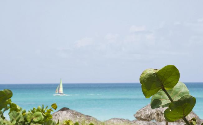 Фото отеля Blau Varadero Hotel