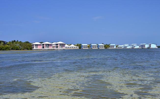 Фото отеля Melia Cayo Coco 