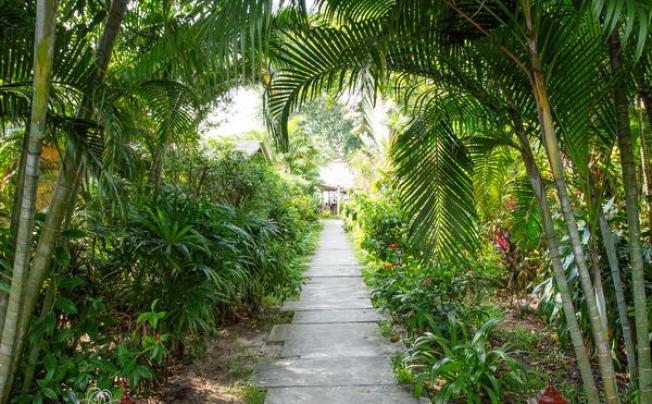 Фото отеля Lipa Lovely beach Resort